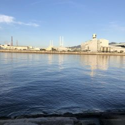 初めての南芦屋浜