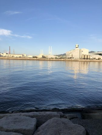 初めての南芦屋浜