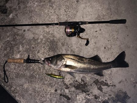 筋トレ後の時短シーバス！！