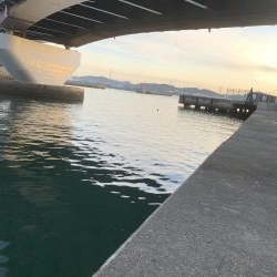 アジングやっと釣れた！