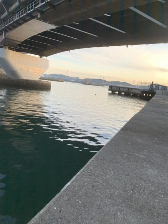 アジングやっと釣れた！