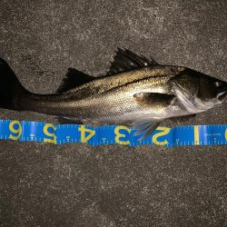 静かなる如意棒