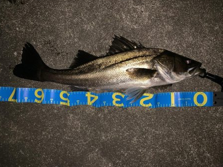 静かなる如意棒