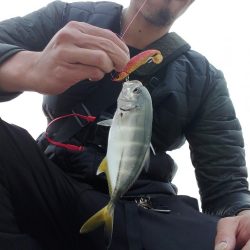 朝マズメ ワインド