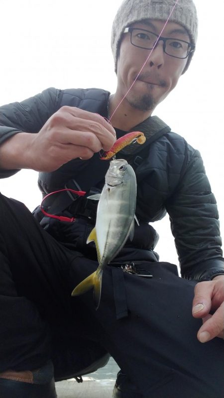 朝マズメ ワインド