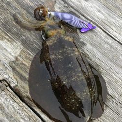 筏で試験釣行！