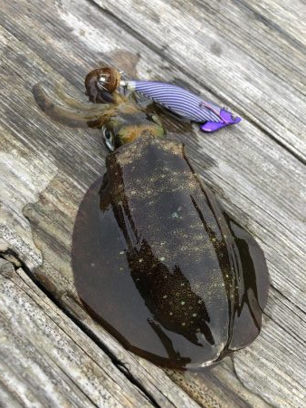 筏で試験釣行！