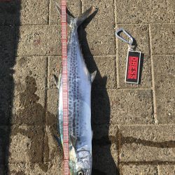 荒れた状態のコスモは釣れりのか