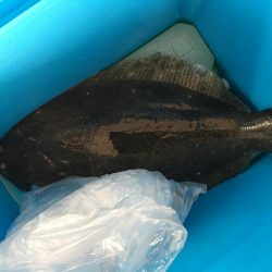 フラットフィッシング