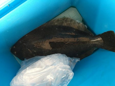 フラットフィッシング