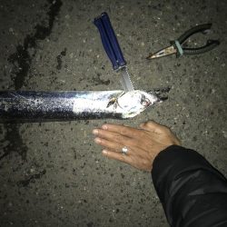 11月13日神戸護岸太刀魚