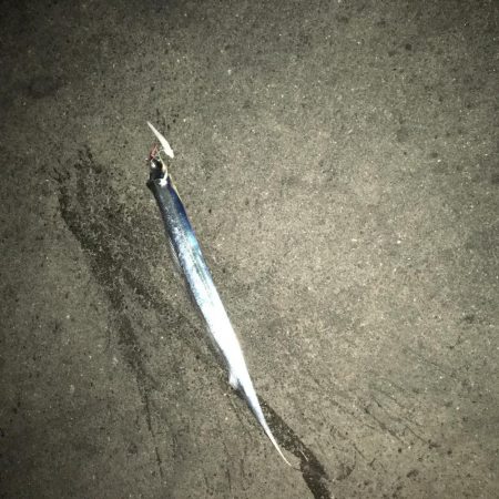 周りを見て2種類の釣り