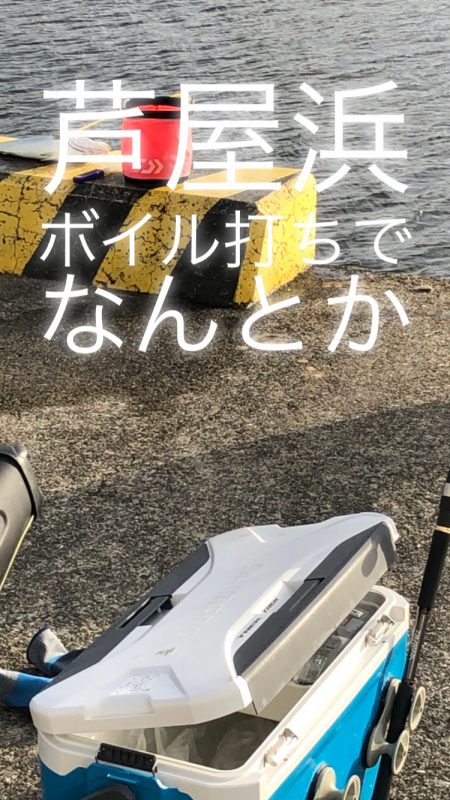 ボイルの中、やっと1匹