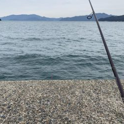 諦めないジギング