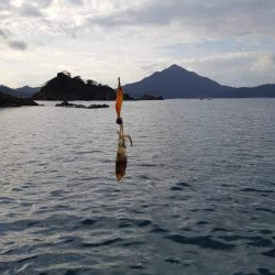 イカの気持ち６