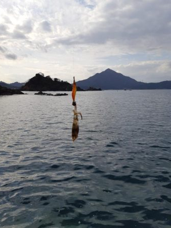 イカの気持ち６