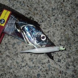 ドラゴンハントが効く！