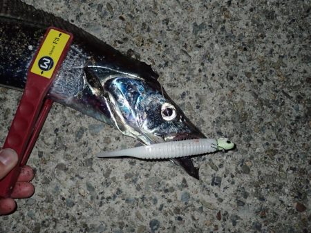 ドラゴンハントが効く！