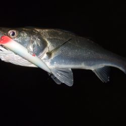 冷え込みで苦戦