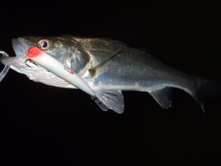 冷え込みで苦戦