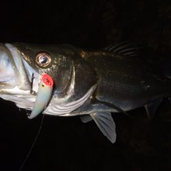 シーズン終盤戦