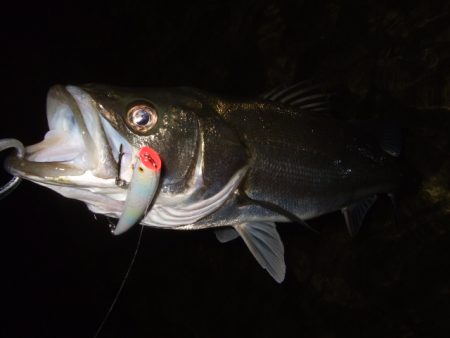 シーズン終盤戦