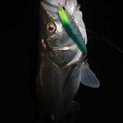 ハイシーズンも終わりを実感