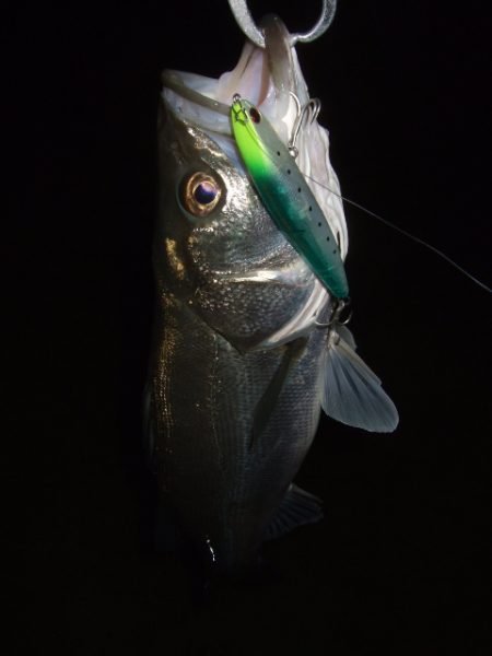 ハイシーズンも終わりを実感