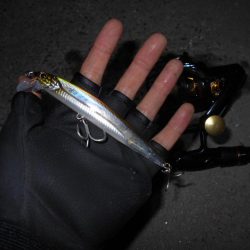 ヘビーウエイトミノーで攻略