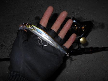 ヘビーウエイトミノーで攻略