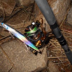 逃がさんっ！！