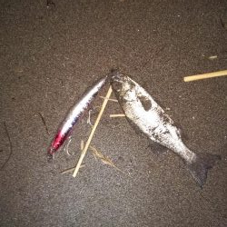 毎週通いつめて………