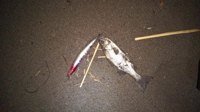 毎週通いつめて………