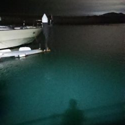 アジング3種盛り