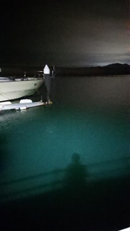 アジング3種盛り