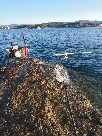 みなべ堺でグレ釣り