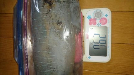 昨日よりサイズUP!