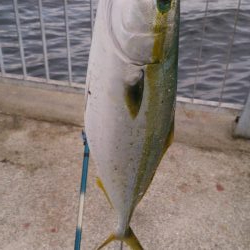 ファミリーフィッシング