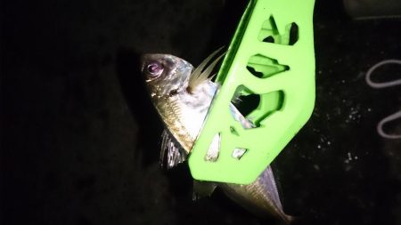 まだやめられへんやん