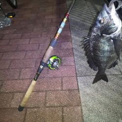 あたり不明確おチヌ