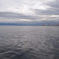 復調じゃ～ないじゃん！