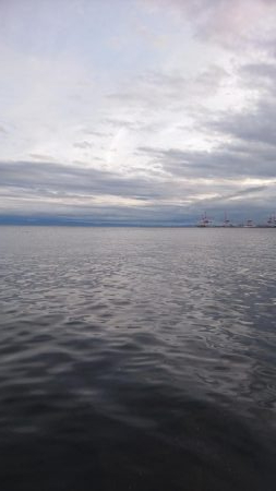 復調じゃ～ないじゃん！