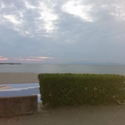 初めてのフラットフィッシュ狙い