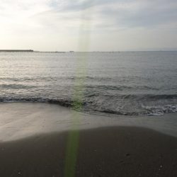 ビギナーズラックに気をよくして再度マゴチ狙いで