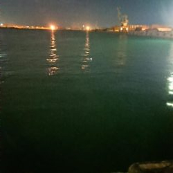 貝塚人工島でヒイカ(^^)