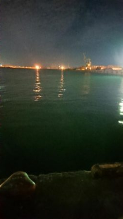 貝塚人工島でヒイカ(^^)