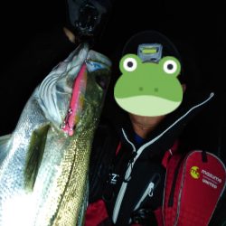 カゲロウはサヨリの代わりになりますか？