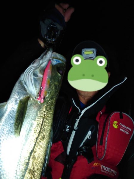 カゲロウはサヨリの代わりになりますか？