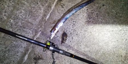 アタリは少ないが良型ぞろい