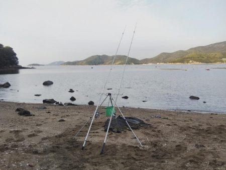 カレイはまだ・・落ちギス良好‼️